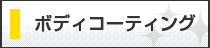 ボディコーティング